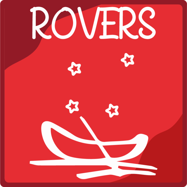 Imagen de Rovers